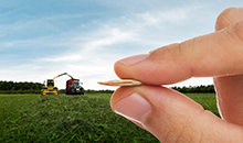 Improved drought-resistance protects agricultural profits